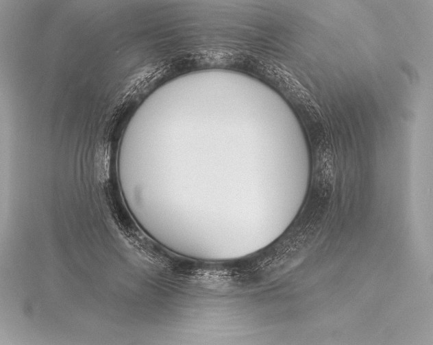 X0000115550694200911201801