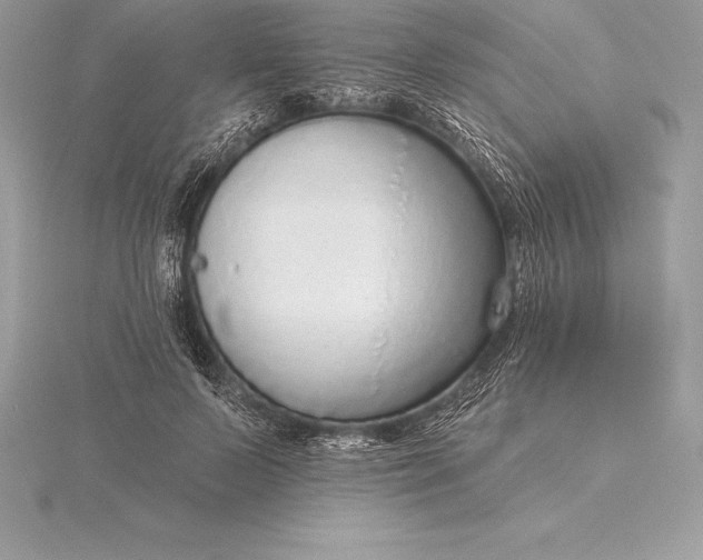 X0000115550695200911201801