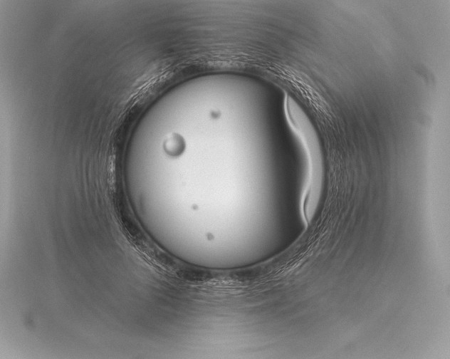 X0000115550696200911201801