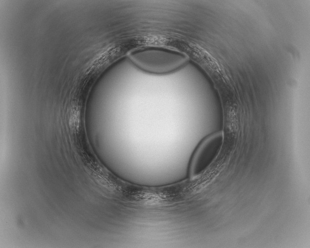 X0000115550697200911201801