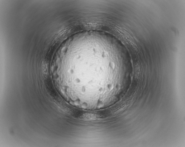 X0000115550699200911201801