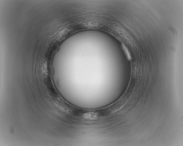 X0000115550700200911201801