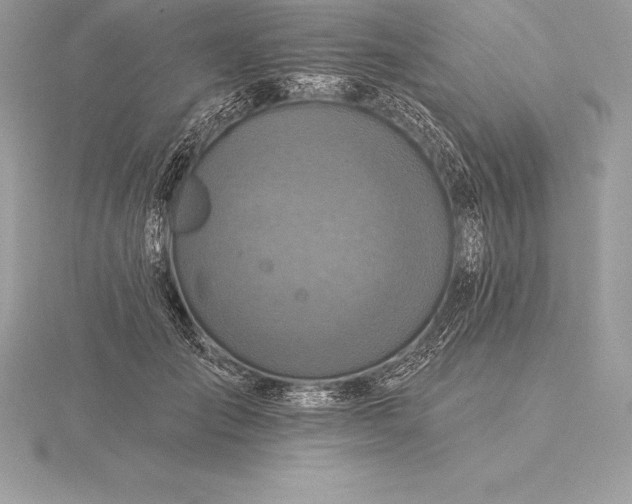 X0000115550701200911201801