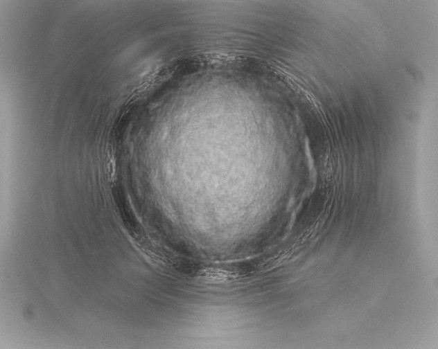 X0000115550703200911201801