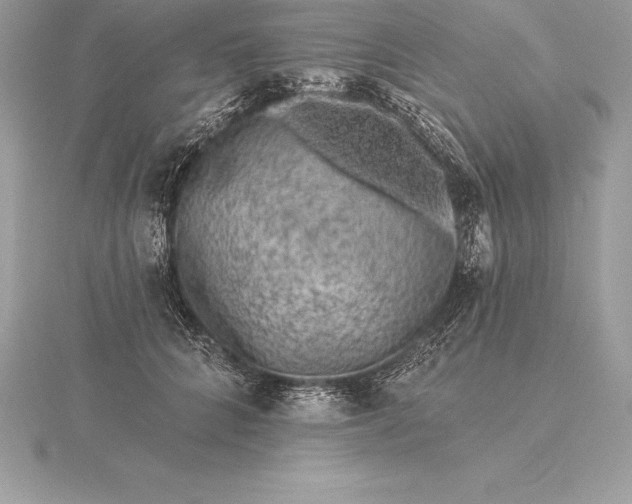 X0000115550704200911201801