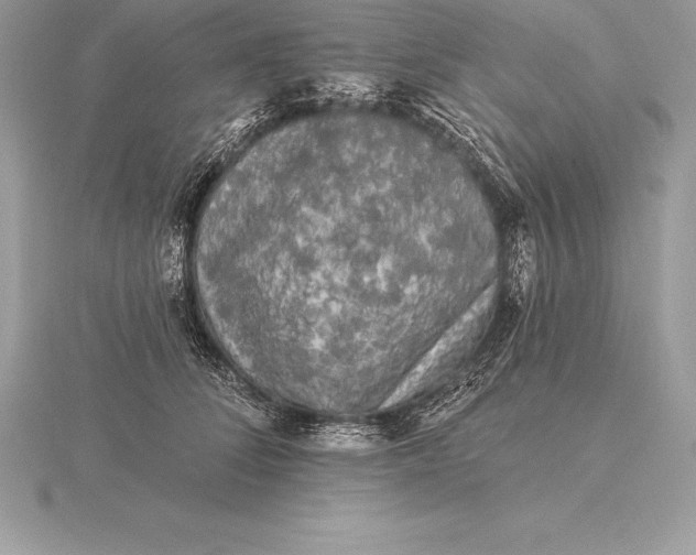 X0000115550708200911201801