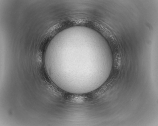 X0000115550710200911201801