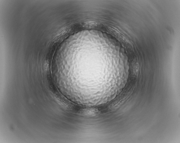 X0000115550711200911201801