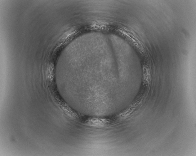 X0000115550712200911201801