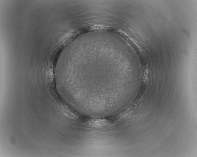 X0000115550716200911201800