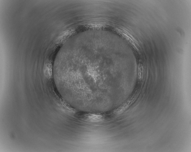 X0000115550718200911201800