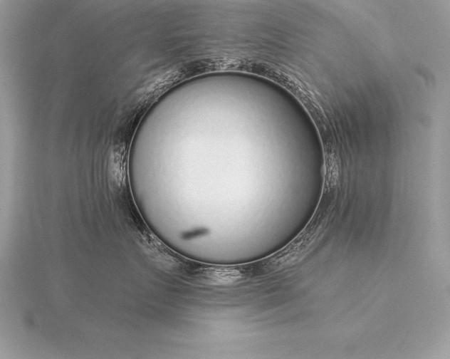 X0000115550719200911201800