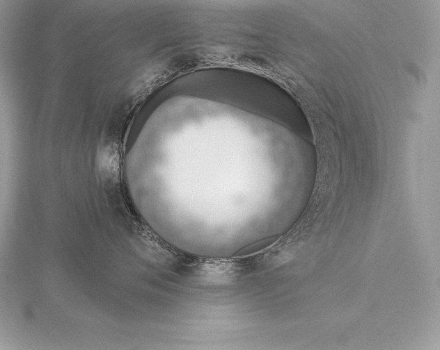 X0000115550720200911201800