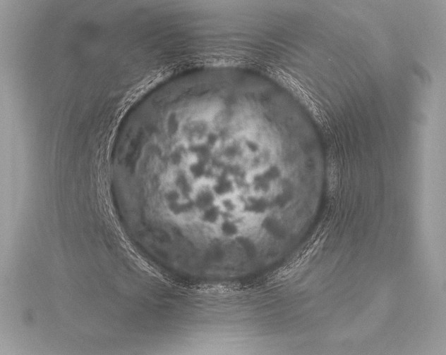 X0000115550721200911201800