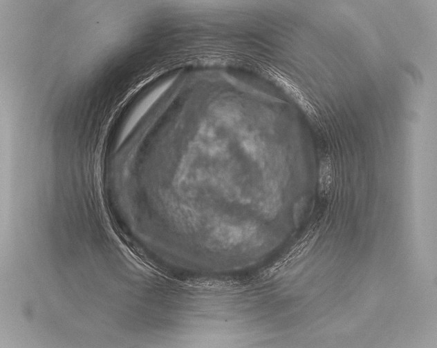 X0000115550722200911201800