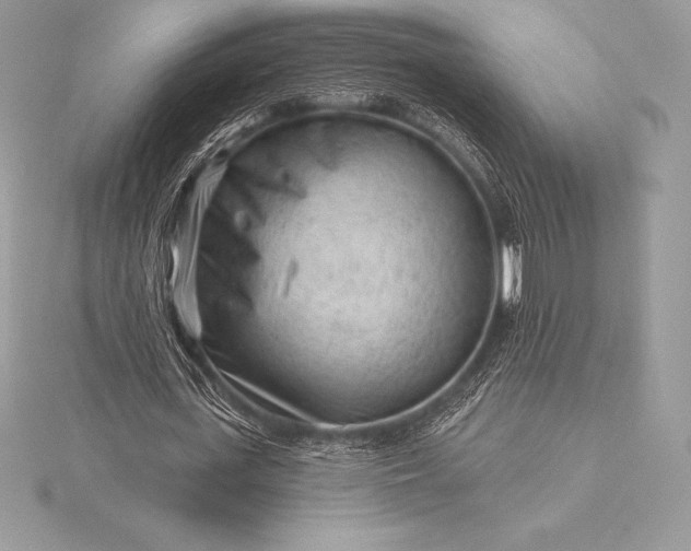 X0000115550723200911201800