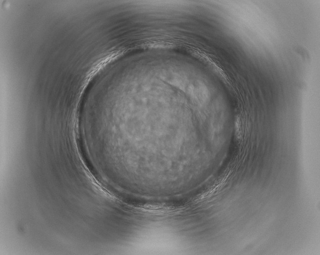 X0000115550725200911201800