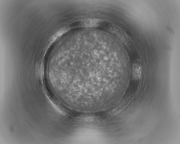 X0000115550726200911201800