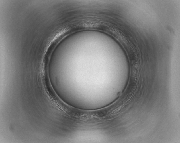 X0000115550727200911201800