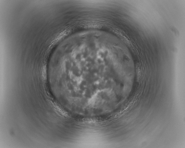 X0000115550729200911201800