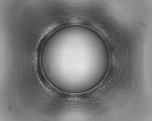 X0000115550730200911201800