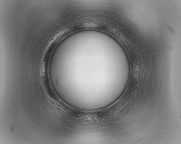 X0000115550731200911201800