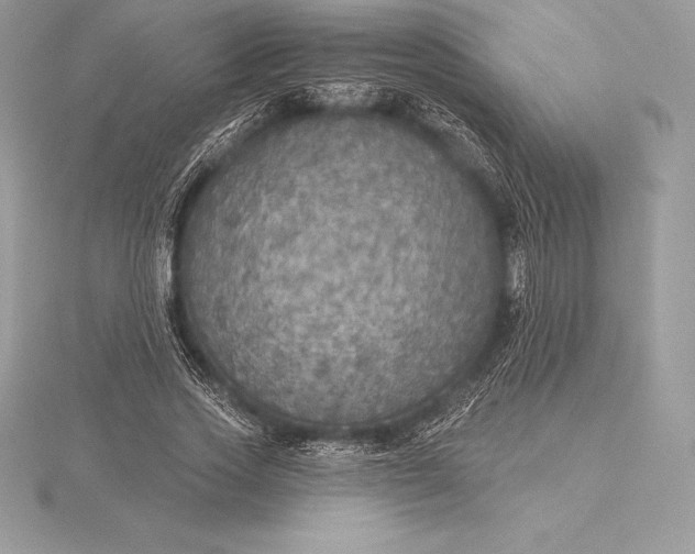 X0000115550733200911201800