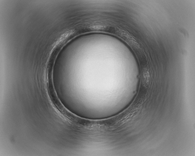 X0000115550734200911201800