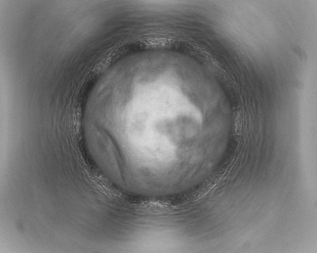 X0000115550737200911201800