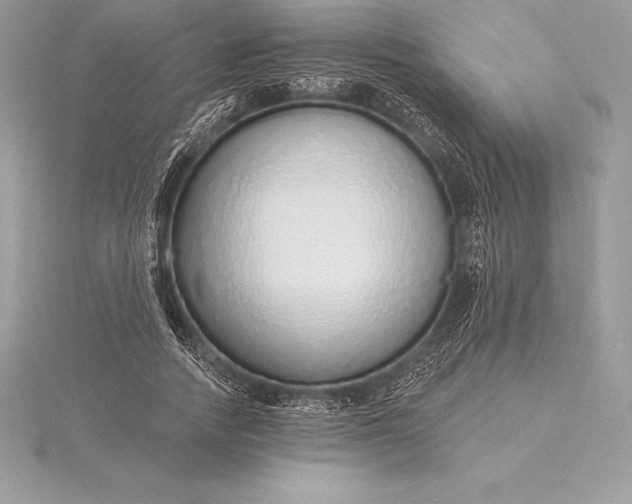 X0000115550738200911201800