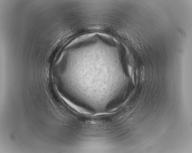 X0000115550739200911201800