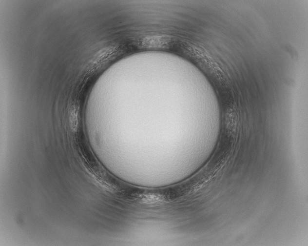 X0000115550741200911201800