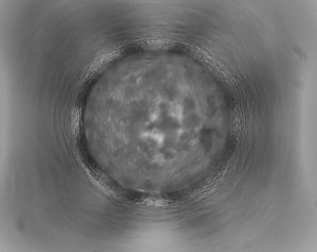 X0000115550742200911201800