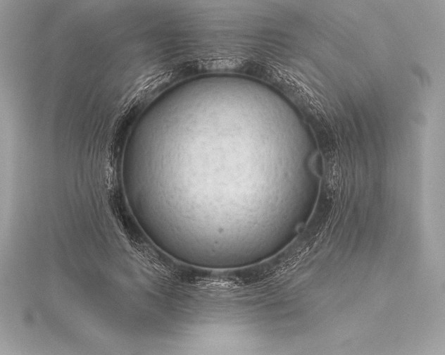 X0000115550743200911201800