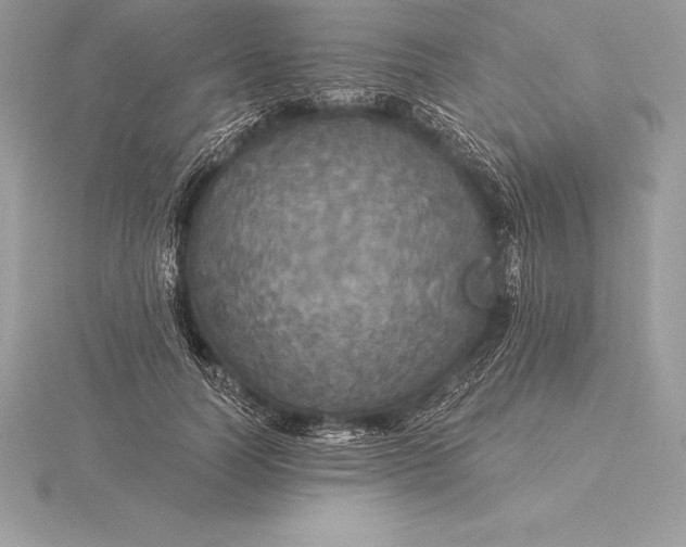 X0000115550746200911201800