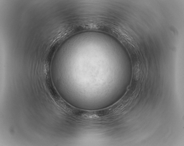 X0000115550747200911201800