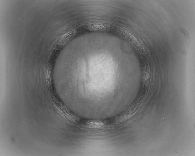 X0000115550749200911201800