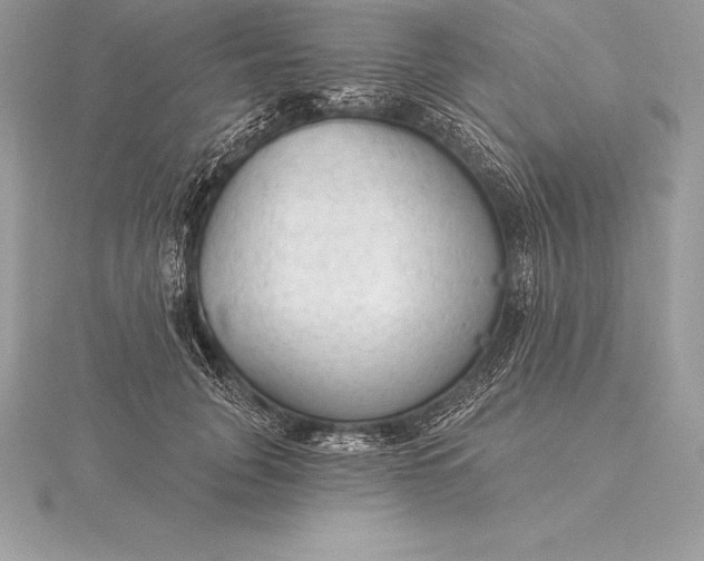 X0000115550751200911201800