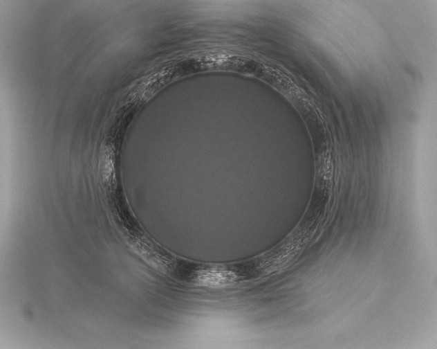 X0000115550754200911201800