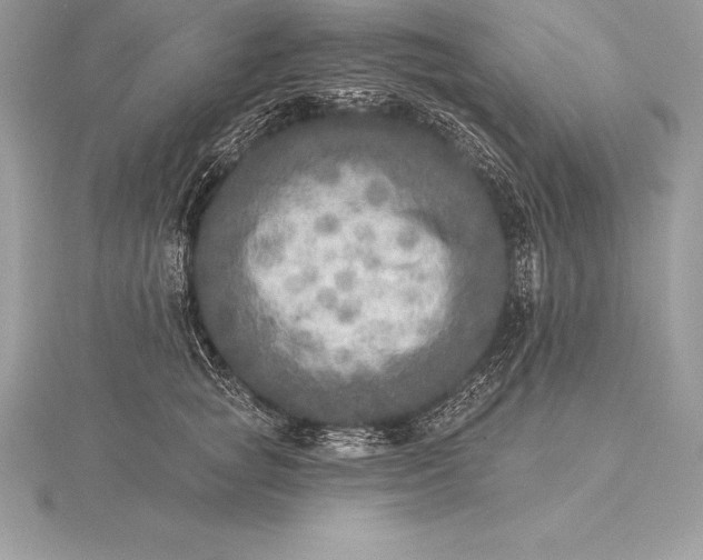 X0000115550757200911201800