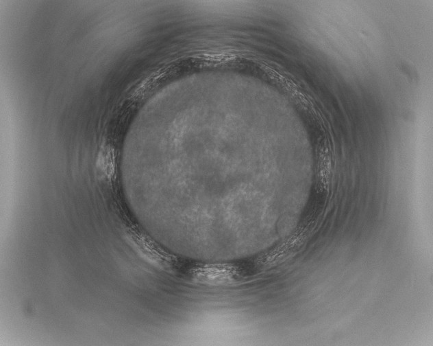 X0000115550758200911201800