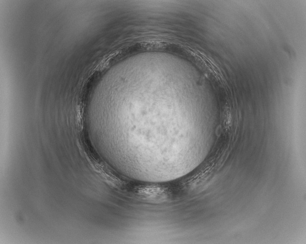 X0000115550759200911201800