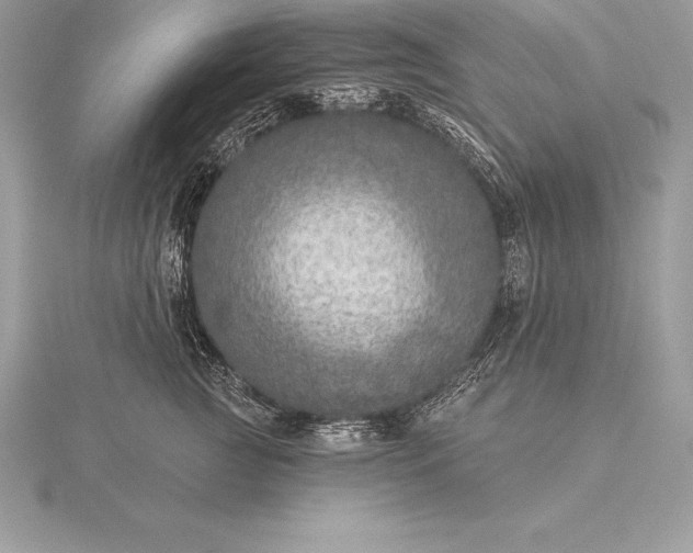 X0000115550761200911201800