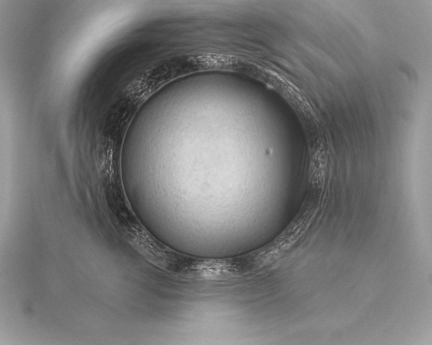 X0000115550762200911201800