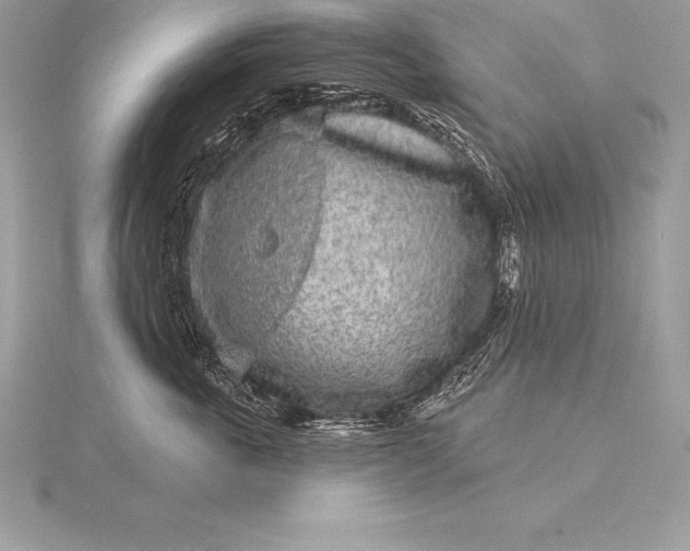 X0000115550763200911201800