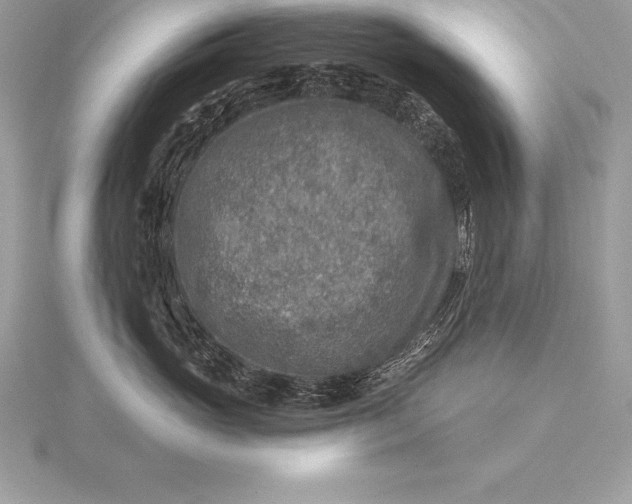 X0000115550765200911201800