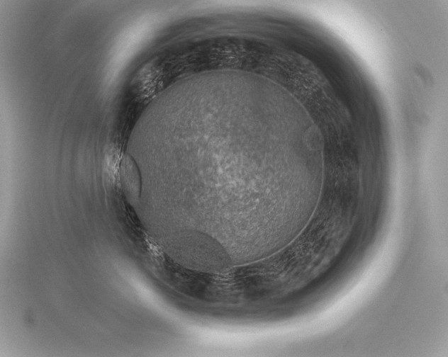 X0000115550766200911201800