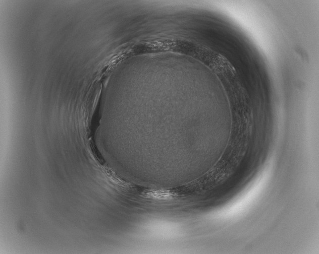 X0000115550767200911201800