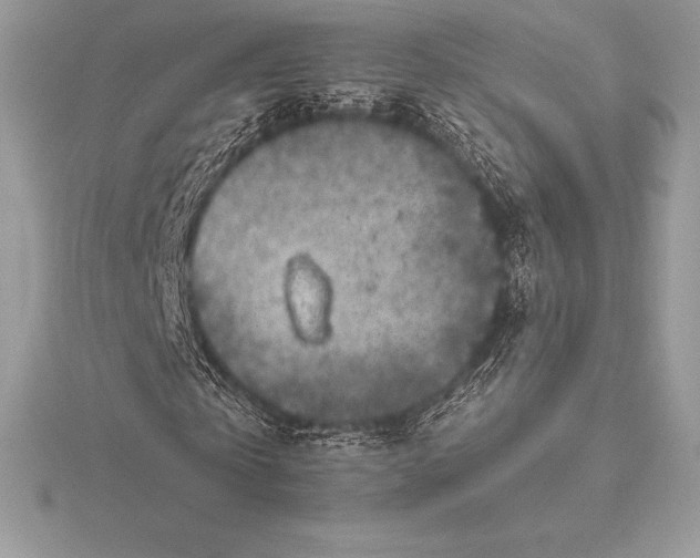 X0000115550769200911201800