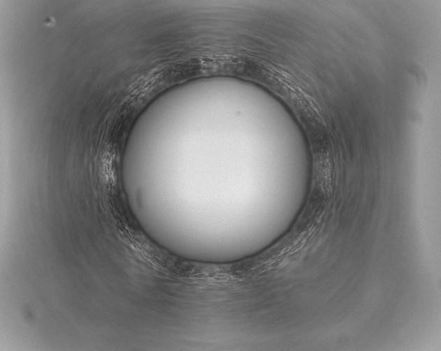 X0000115550770200911201800